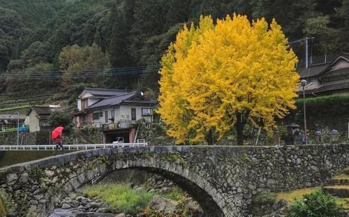 镜头下最真实的日本城市和乡村景色，你更向往哪种生活