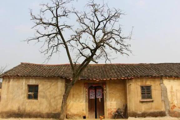 19年的养老金都会持续上涨，但这人会降25％，看完提醒家人！