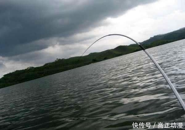  【生活费】鱼跑了, 杆也断了, 钓鱼人半个月的生活费没了