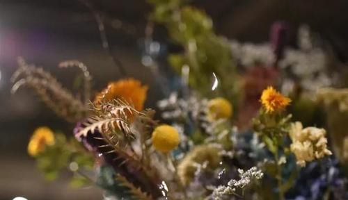 手工@DIY手工制作:用干花做的花艺作品,比鲜花还美!