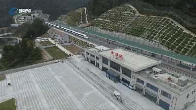 广元人出行注意了，苍溪站和青川站部分停靠车次被取消！