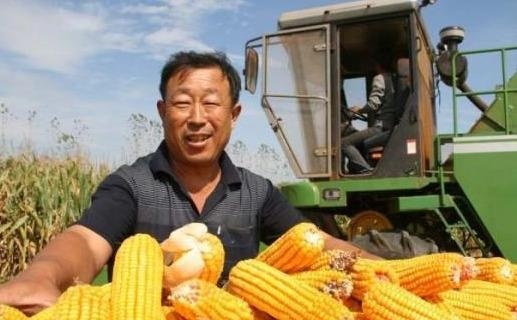  有人■电视上农民年收入十万很容易，现实中收入是多少？有人算