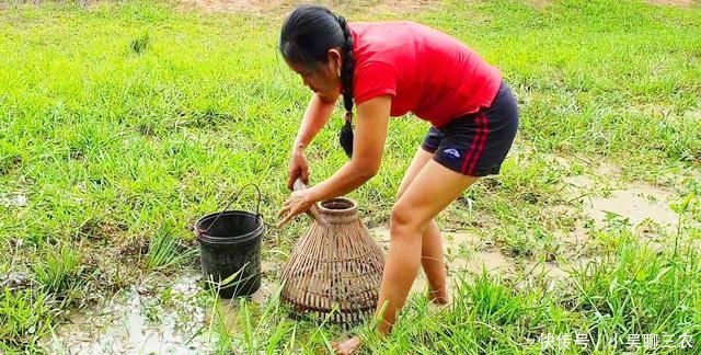  「脱下」农村蟾蜍会脱下一层蟾衣，据说比黄金还贵，为何在野外
