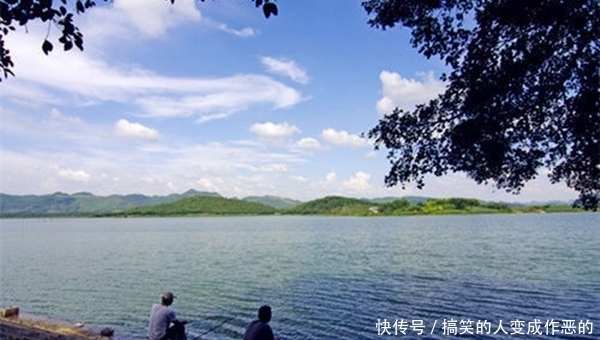 『春季』初夏钓鱼套路多,抓住这些变化规律,上鱼更多!