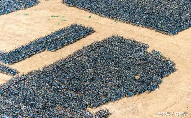 北京五环搁置6万小蓝单车。繁华过后尽显苍凉