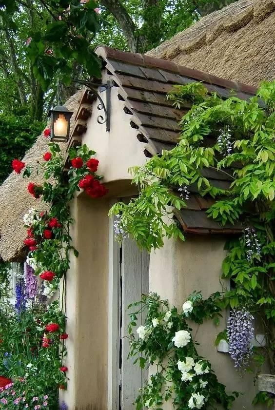 我想有个小院，欣赏四季美景