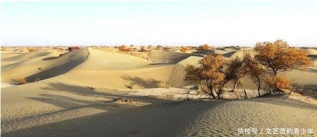  当中：国家在塔克拉玛干沙漠，投资上亿种下胡杨林，如今变成什