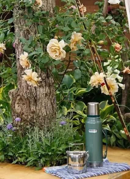  「养花」等我们年纪大了，回乡下，开辟院子，种菜养花