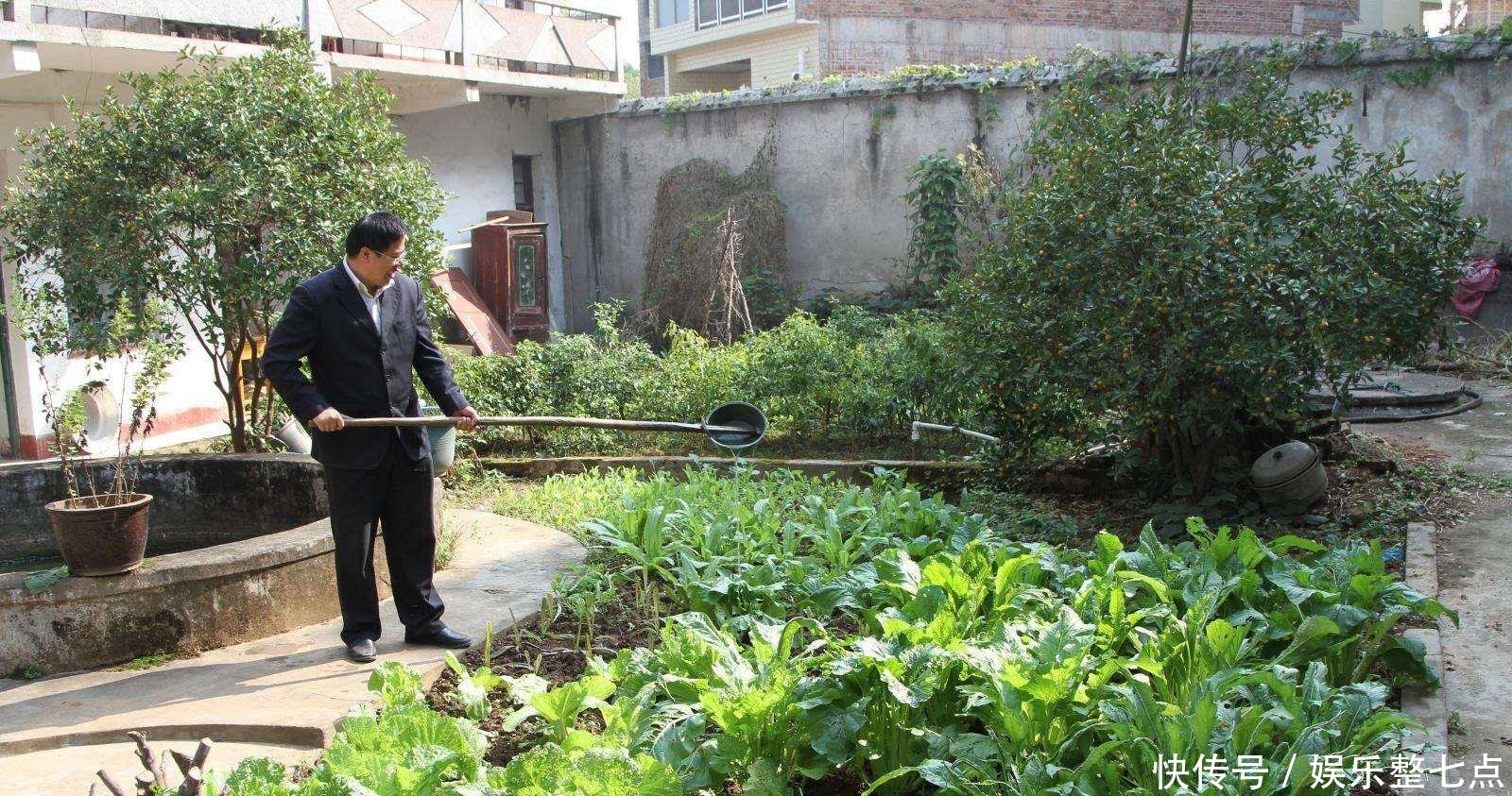  【不占用村】继禁止私搭乱建后， 墙外种菜或将被禁，农民不解，