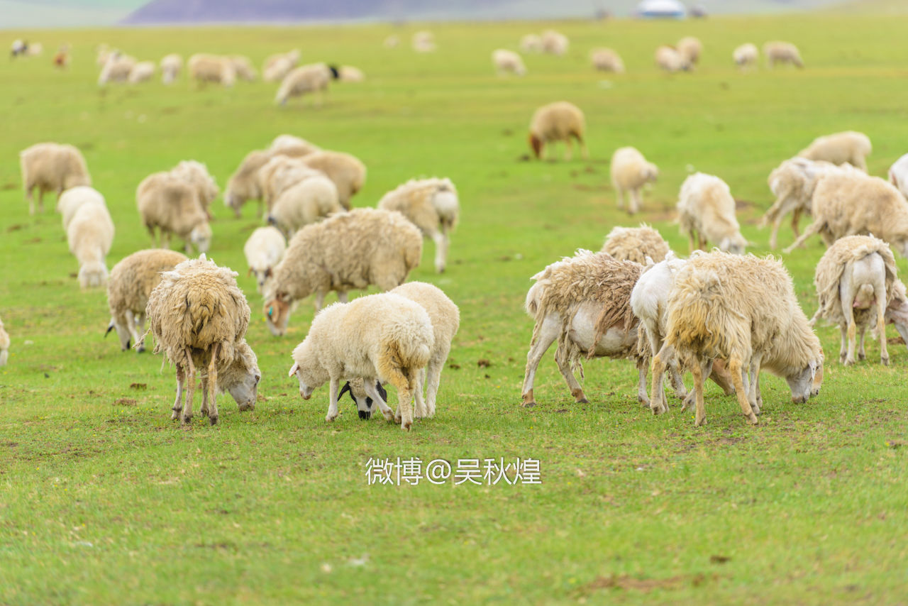 我和内蒙古呼伦贝尔有个约定