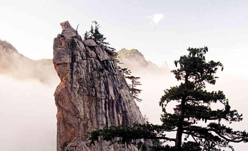 河南的这五大名山谁能当第一名山？一起来看看吧！