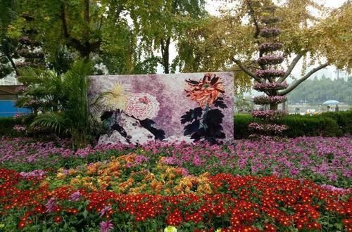  [回家]养花的人来到这，美得走不动路，恨不得全搬回家去！
