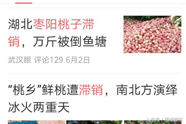 袁立为农民发声，骂马云怼2冰冰拒不受访，网友:实力杠精