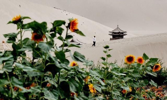 中国沙漠第一泉，现今已靠人工灌水18年，游客：不明白