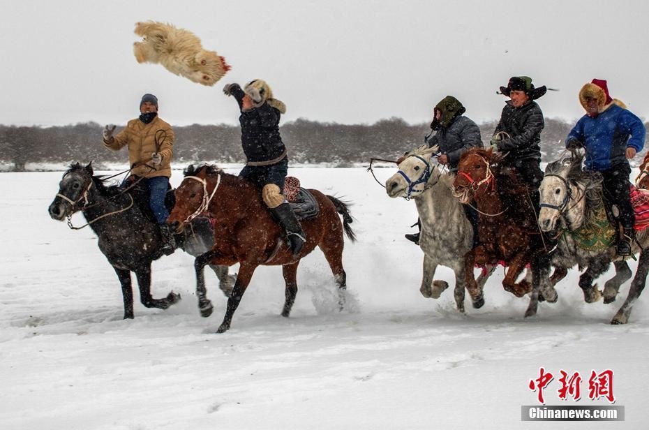 新疆昭苏大草原再现“万马奔腾”场景