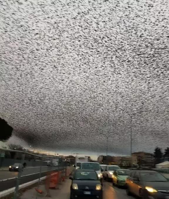 能让人大呼不可思议的8张照片,切开后才知道海底电缆长这样!