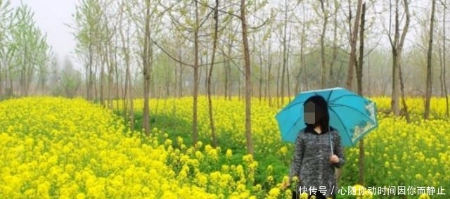  移动|武汉一座会“漂移”的岛, 每年移动110米