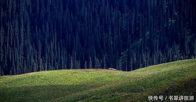 新疆的果子沟大桥，中国的超级工程！堪称艺术品