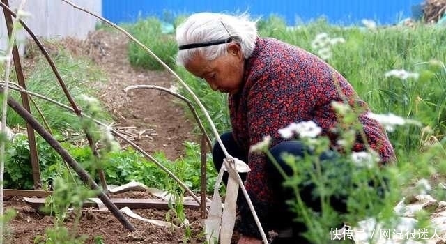  「家里」农村“不孝子”多？这3种农民，能不能挣钱，都受欢迎，但愿有你
