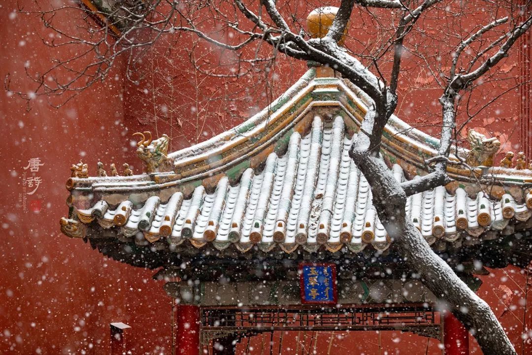 故宫蹲守6年，他拍下30000张绝美照片，清华大学教授忍不住盛赞