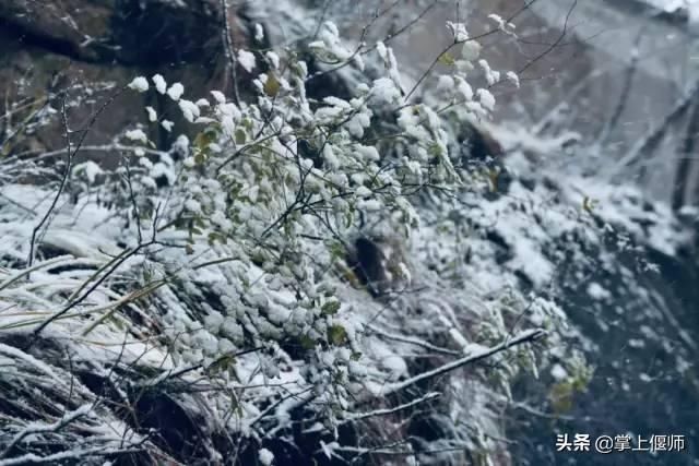 昨天洛阳雪后，一大波美景曝光