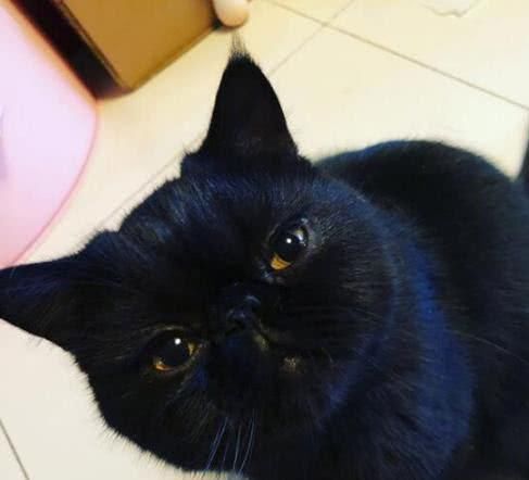 关爸晒合照疑似回应分手传言 网友：都见岳父了还会分手么？