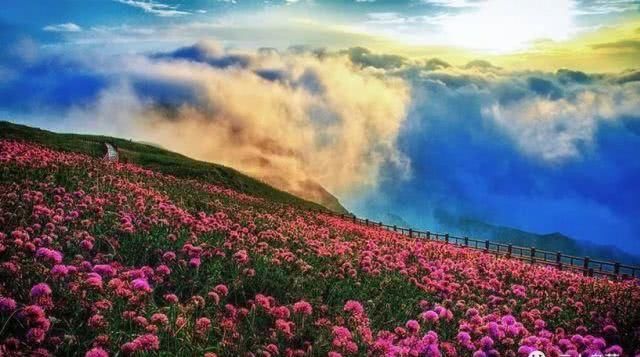 最美贵州一抹秋，全都藏在了这些地方！