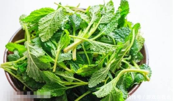 农民看到就拔的“丑草”，城里人拿它泡茶、炒蛋，一年能卖3万多