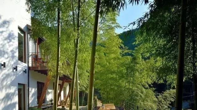  「小院」理想中的乡村小院