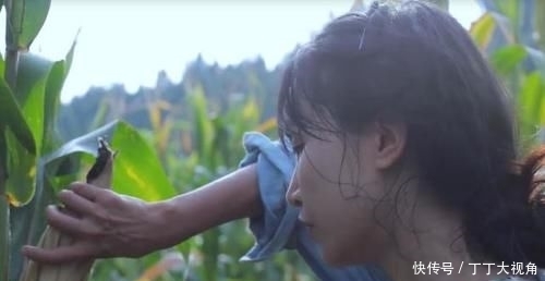 「镜头」李子柒记录玉米的种植与收获,看到这个镜头后:不可能是摆拍