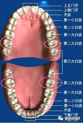 “整牙到底能不能瘦脸”终于有了权威结论，杨幂竟是被冤枉的?