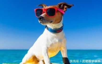 全球十个奇特搞笑酒店排行榜!日本全机器人酒店排第一