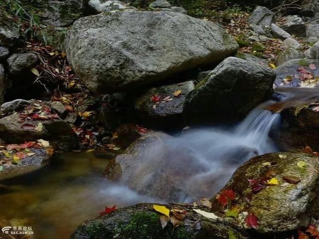  「微波站观鹿」我爱秦岭，过去现在未来