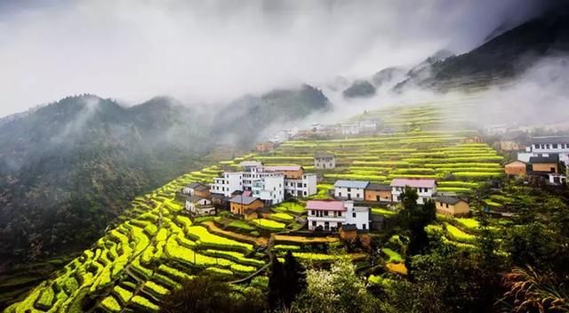 三月，去看中国最美春光