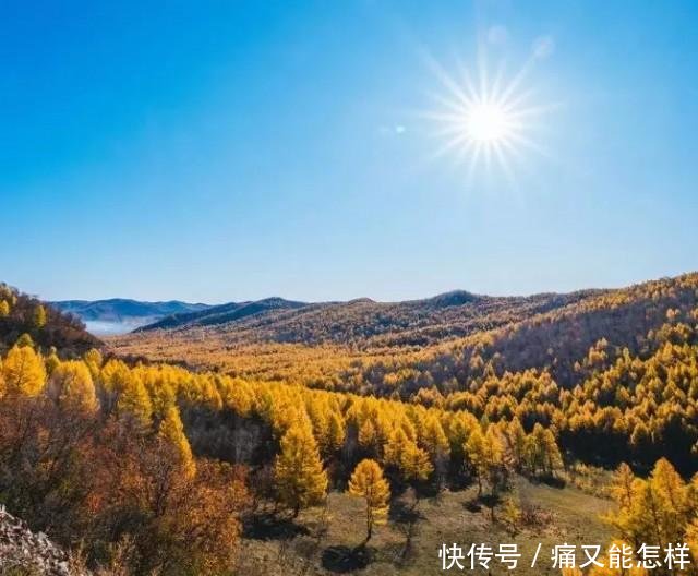 有一种美，叫阿尔山的秋