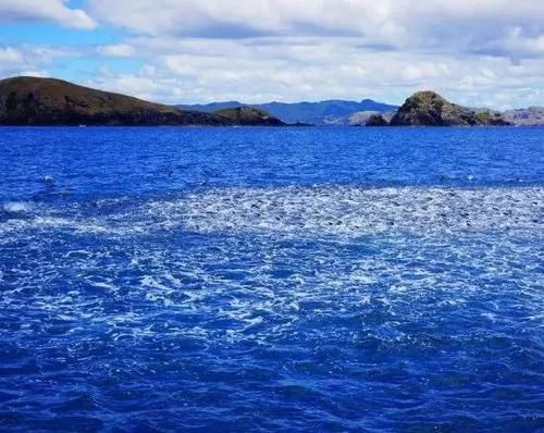  『实用』海钓新手入门，这几个海钓技巧很实用