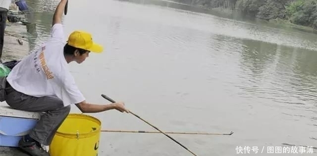 专攻|专攻大鲫鱼的2款特制饵料,上鱼速度真快其他统统靠边站