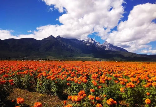 大理群峰竞秀，湖山相映，呈现一派壮丽的高原景色