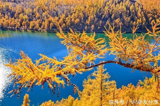 中国最美秋色：比喀纳斯清新，比稻城更童话！正适合秋天