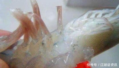 大妈在小摊上买了几斤大虾，儿媳妇吃后赶忙报警，真相让人傻眼了