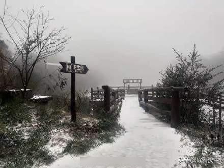 汉中多地又下雪了，好冷好冷