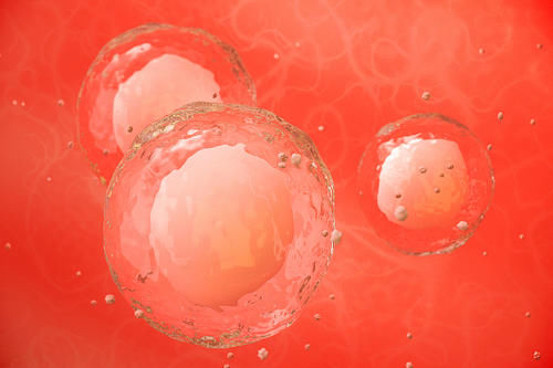 辟谣｜网络频现“无害捐卵”广告，捐卵真的能完全不伤身？