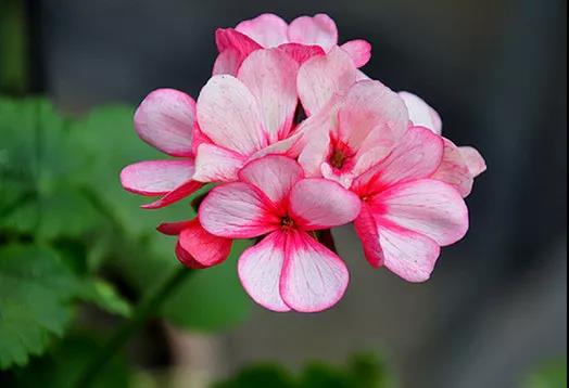 丝域养发头皮卸妆居家新品上市，拒绝头皮敏感