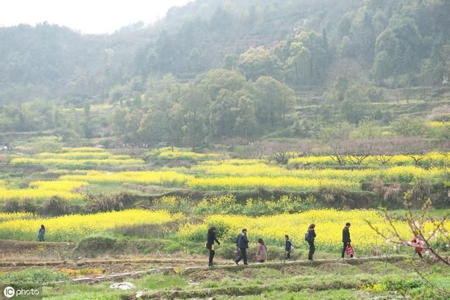 农村沼气池荒废不用？看完以下4点，你就懂农民为何有便宜也不占