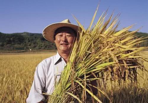 2019年农村又增加了2项补贴了，金额达2000元，别忘记领