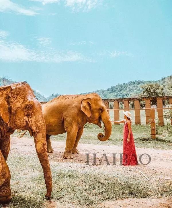 好看| 裙子和T恤才是女生开心的根本!就想天天这样穿去度假!