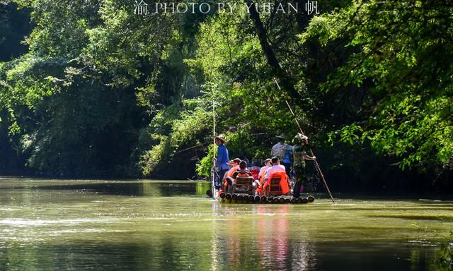 武夷山竟然有个热带雨林，出乎意料的惊喜，你们知道在哪里吗？