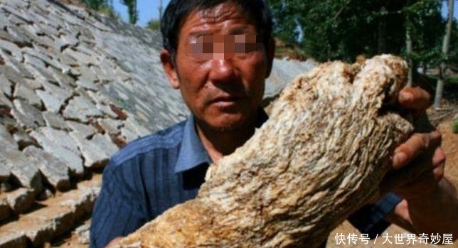 农民山上捡到宝，500万都不卖嫌出价低，据传秦始皇找了一辈子！