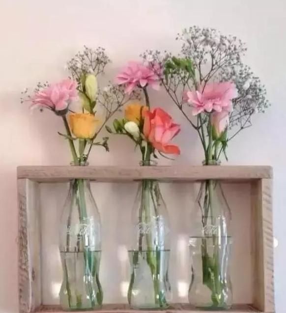  「剪剪」好看的花盆太贵怎么办？自己动手剪剪塑料瓶，既能省钱又贼漂亮