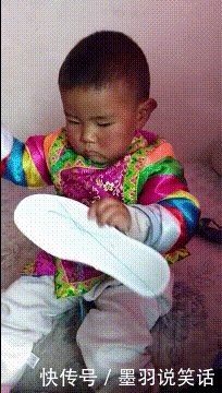 『干的事』搞笑gif:狗子:如果这是人干的事,那我可就咬人了